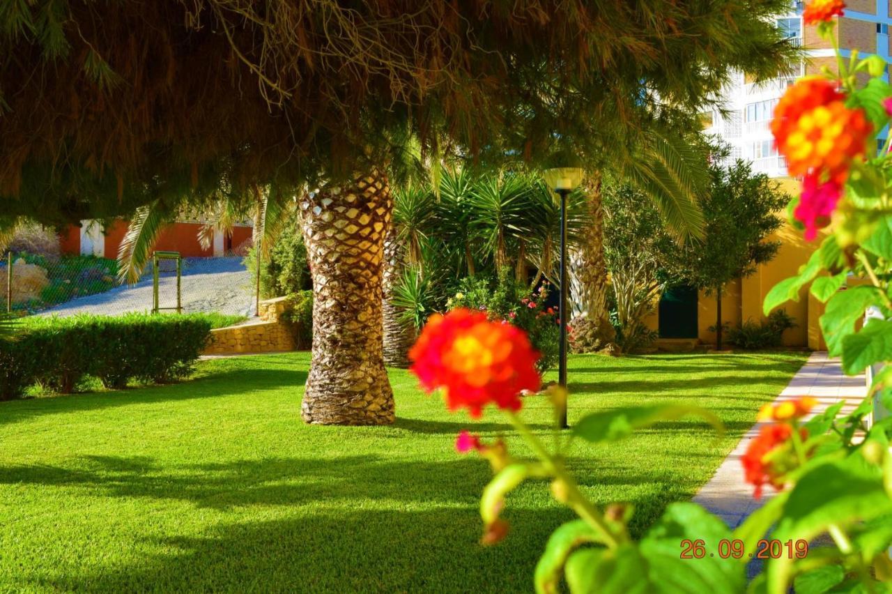 Bungalo En Primera Linea De La Playa El Campello Eksteriør bilde